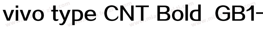 vivo type CNT Bold  GB1字体转换